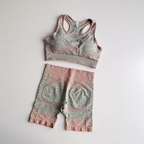 Women's Seamless 2-Piece Yoga Set - Long Sleeve Crop Top & Leggings
