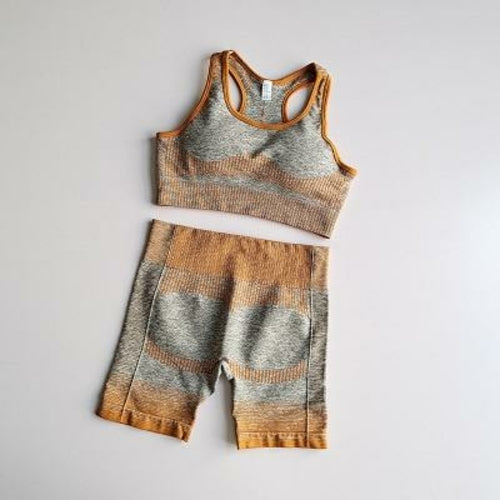 Women's Seamless 2-Piece Yoga Set - Long Sleeve Crop Top & Leggings